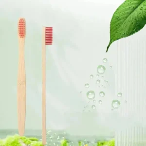 Brosses à dents  manche en bois.